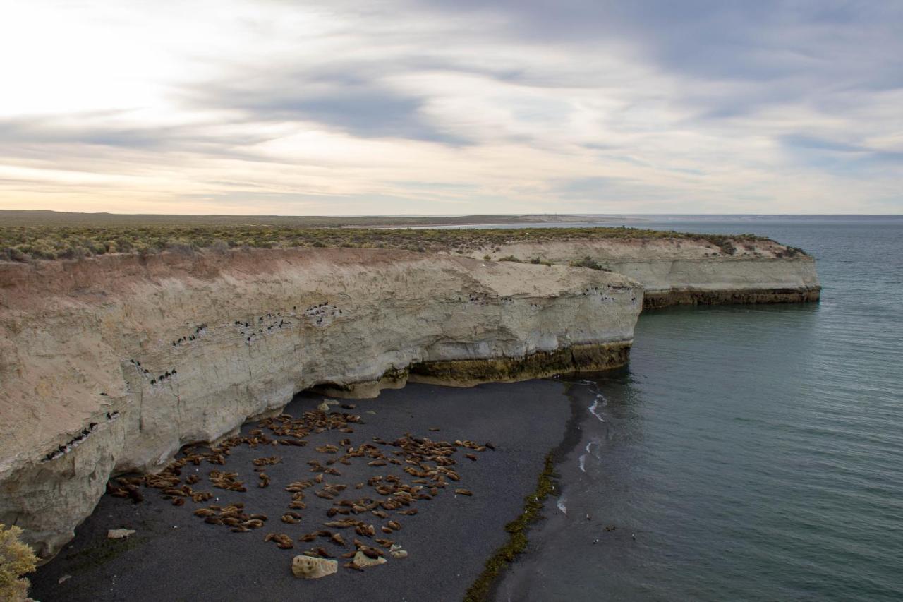 La Tosca Hostel Puerto Madryn Eksteriør bilde